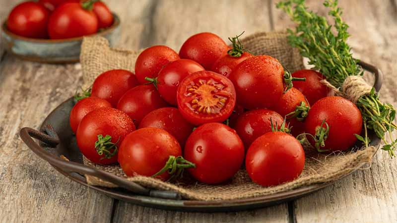 عوارض صادرات گوجه فرنگی